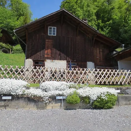 Steffelhus